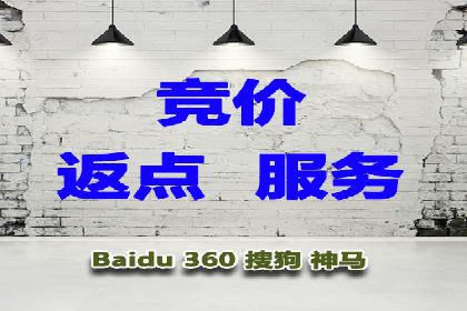 百度推广优化策略：成功案例解析